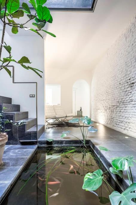 Exclusivo Apartamento De Diseno Centro Sevilla Matahacas Bajo Kültér fotó