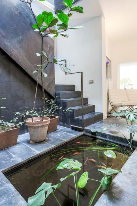 Exclusivo Apartamento De Diseno Centro Sevilla Matahacas Bajo Kültér fotó