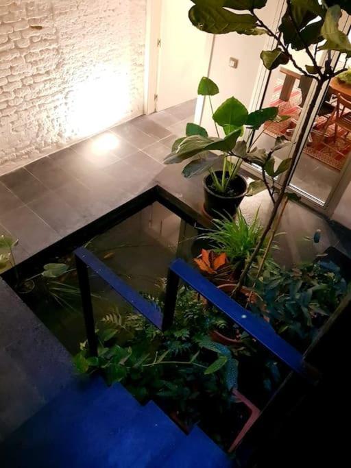 Exclusivo Apartamento De Diseno Centro Sevilla Matahacas Bajo Kültér fotó