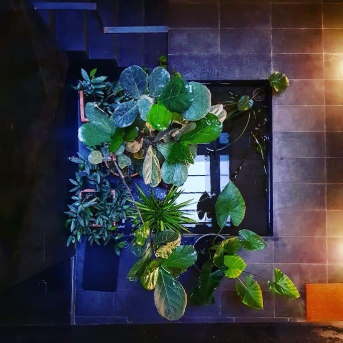 Exclusivo Apartamento De Diseno Centro Sevilla Matahacas Bajo Kültér fotó